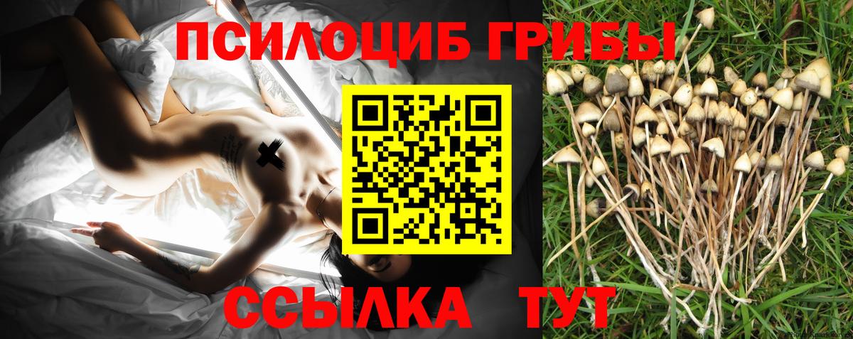 Галлюциногенные грибы прущие грибы  Вход с VPN  Мариинск 